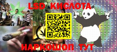 крисы Малгобек