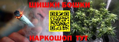 крисы Малгобек