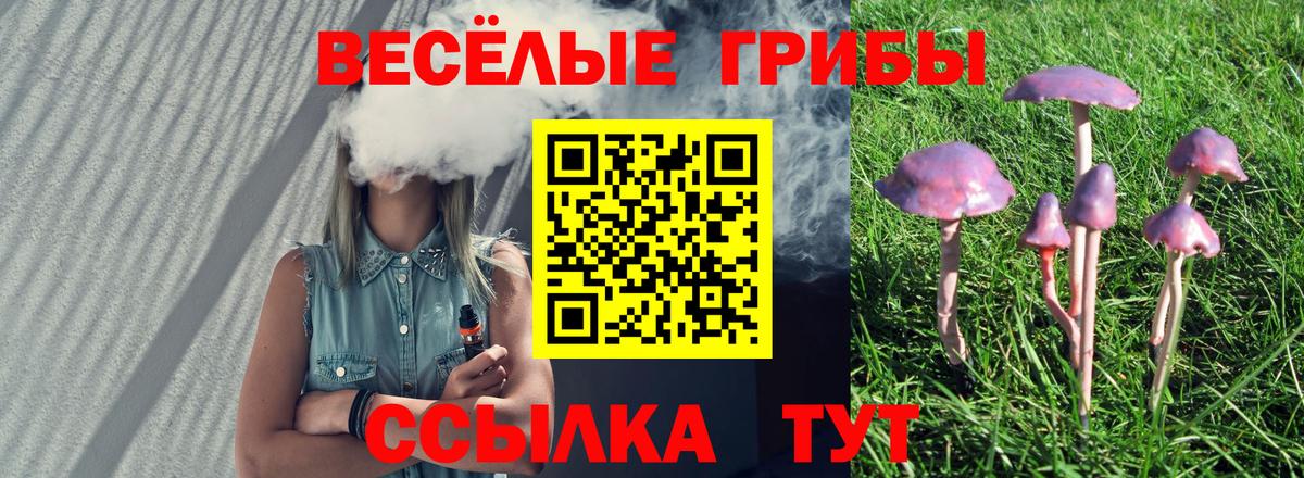 Галлюциногенные грибы Psilocybine cubensis  Вход с VPN  Дятьково 